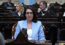 El ajuste detrás del superávit. Marclay cuestionó el discurso de Milei