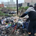 Minibasurales – lunes (2)