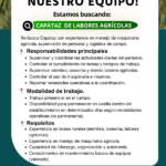 Requisitos (1)