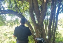 Dos menores demorados tras sustraer una motocicleta