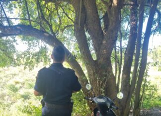 Dos menores demorados tras sustraer una motocicleta