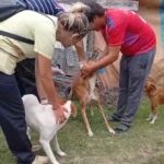 Zoonosis 2 (2)
