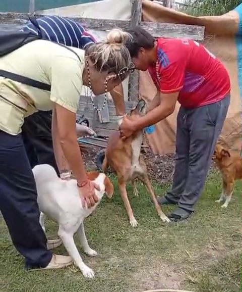 Zoonosis 2 (2)