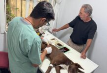 Última semana del Castramóvil en el barrio Ex Circuito Mena