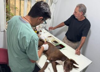 Última semana del Castramóvil en el barrio Ex Circuito Mena