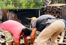 El Castramóvil transita su última semana en el Predio Multieventos