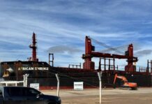 Arribó al puerto el granelero African Shrike para cargar 18 mil toneladas de pino con destino a India