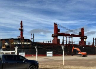 Arribó al puerto el granelero African Shrike para cargar 18 mil toneladas de pino con destino a India