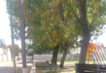 Basura en la placita Rivadavia: vecinos convierten una esquina de la ciudad en un basural a cielo abierto