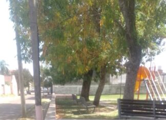 Basura en la placita Rivadavia: vecinos convierten una esquina de la ciudad en un basural a cielo abierto