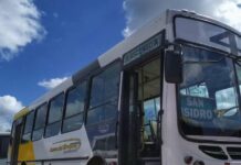 No se presentó ninguna empresa para cubrir el servicio de transporte urbano