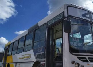 No se presentó ninguna empresa para cubrir el servicio de transporte urbano