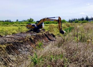 Continúa el mantenimiento de desagües pluviales: trabajos en Las Quintas