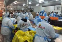 Crisis Granja Tres Arroyos: futuro incierto con malos indicadores