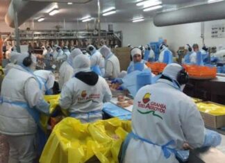 Crisis Granja Tres Arroyos: futuro incierto con malos indicadores