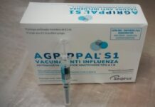 Campaña antigripal: foco en grupos de riesgo