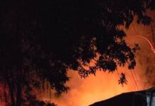 Fuego devoró dos cabañas de madera en la zona oeste de “La Histórica”