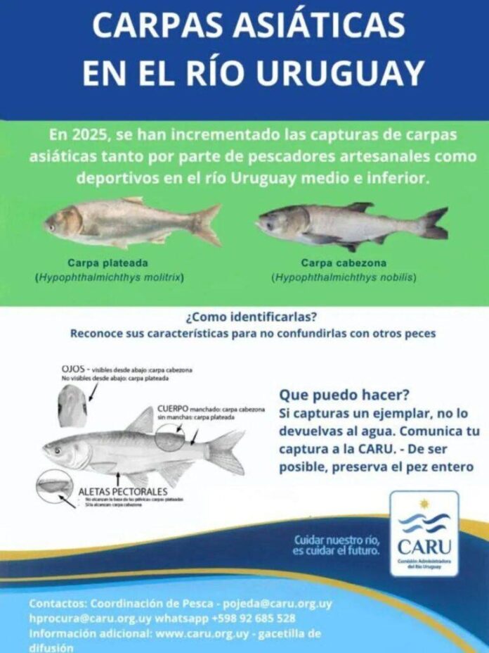 tt-4-768x1024_jpg_75