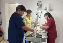 Sanidad Animal: el Castramóvil seguirá atendiendo en el barrio Villa Itapé