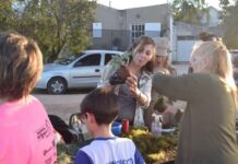 Realizarán una jornada integral de Mujeres Construyendo Futuro en Plaza Las Mandarinas