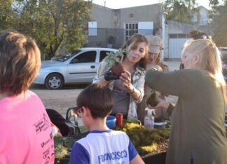 Realizarán una jornada integral de Mujeres Construyendo Futuro en Plaza Las Mandarinas