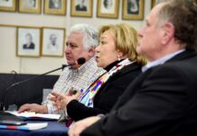 Celeste Pérez presentó su libro “Más Participación = Más Democracia”