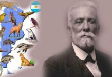 Por qué Argentina celebra el Día del Animal cada 29 de abril