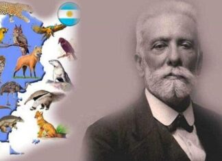 Por qué Argentina celebra el Día del Animal cada 29 de abril