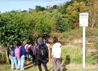 Educación ambiental y senderismo en la Isla del Puerto