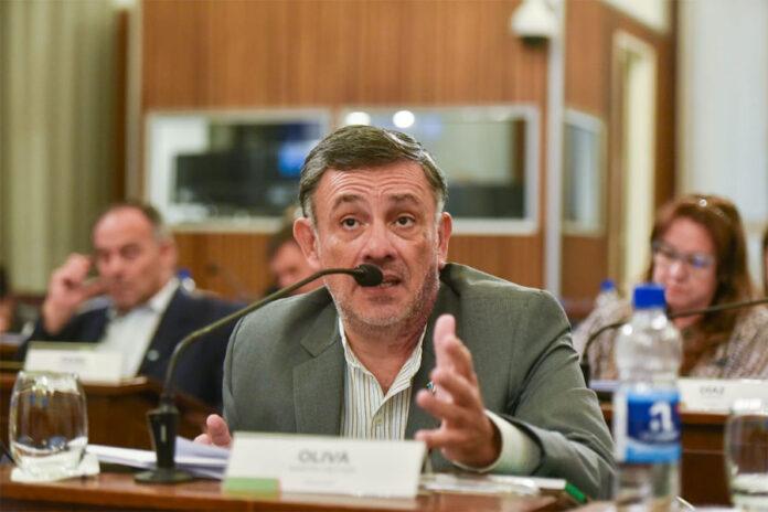 oliva-696x464_jpg_75