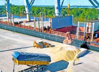 El puerto de Concepción del Uruguay intensifica embarques de graneles y madera