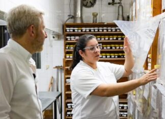 Primer embarque de miel entrerriana a Europa sin aranceles salió desde Concordia
