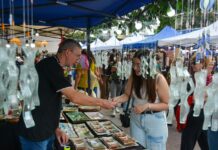 Más de 200 mil turistas y $17 mil millones en movimiento económico