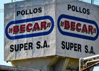 Evalúan reactivar la planta avícola Becar con nuevos operadores