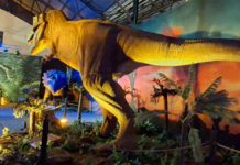 Gualeguaychú recibe una impactante muestra de dinosaurios animatrónicos
