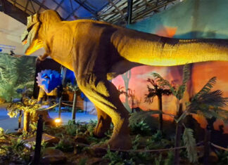Gualeguaychú recibe una impactante muestra de dinosaurios animatrónicos
