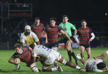 Pampas goleó a Cobras y se metió en semifinales del Super Rugby Américas
