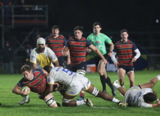 Pampas goleó a Cobras y se metió en semifinales del Super Rugby Américas