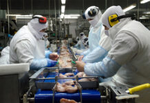 Las exportaciones entrerrianas crecieron 21% en el primer trimestre y superaron los US$529 millones