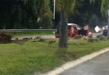 Alcoholizado y al volante: chocó contra una palmera y dejó dos heridas