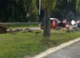 Alcoholizado y al volante: chocó contra una palmera y dejó dos heridas