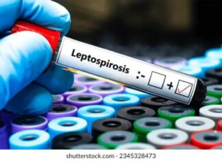 Entre Ríos acumula 15 casos de leptospirosis en lo que va del año