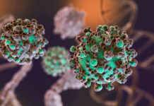 El hantavirus ya suma 102 casos confirmados en la temporada 2025-2026