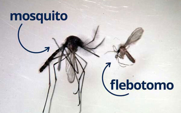 Sin-título-1