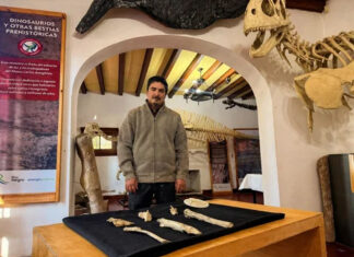 Descubren características únicas en un dinosaurio de la Patagonia