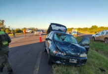 Autovía 14: un auto atropelló a un caballo y un joven sufrió politraumatismos