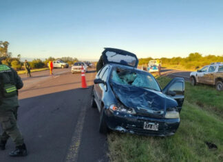 Autovía 14: un auto atropelló a un caballo y un joven sufrió politraumatismos