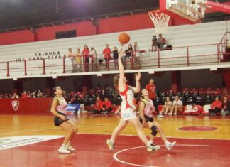 Rocamora, finalista provincial en U15 y U17 femenino