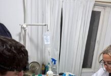Sanidad Animal: el Castramóvil continúa con atención en barrio San Isidro
