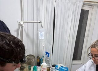 Sanidad Animal: el Castramóvil continúa con atención en barrio San Isidro